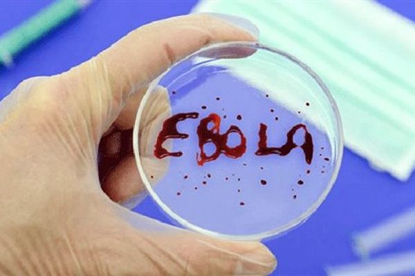 إيبولا يصل البرازيل.. مخاوف دولية من انتشار الفيروس خارج نطاق القرن الإفريقي