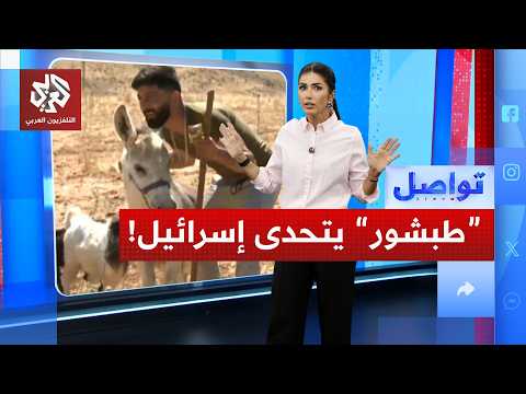 تحول لنجم على مواقع التواصل.. الحمار "طبشور" يتعرف على مالكه بعد أن فرقتهما الحرب