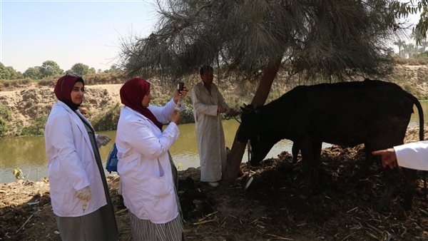 جامعة الفيوم تنظم قافلة بيطرية في عزبة سعد