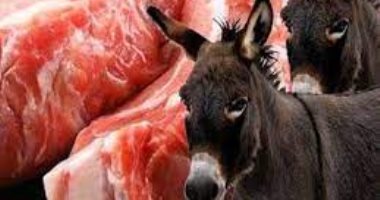 استهلاك لحم الحمير فى الأرجنتين يثير الجدل.. ارتفاع أسعار لحوم البقر السبب