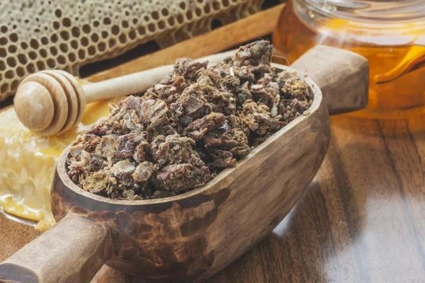 علاج طبيعي واعد لمشكلات الاضطرابات الأيضية