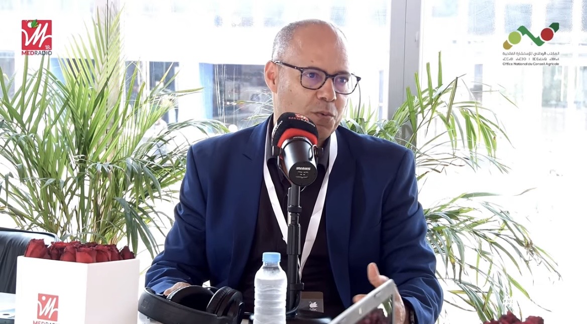 التنظيمات المهنية من الجيل الجديد.. رهان لتحديث الفلاحة وتحسين دخل المنتجين بجهة فاس مكناس (فيديو)
