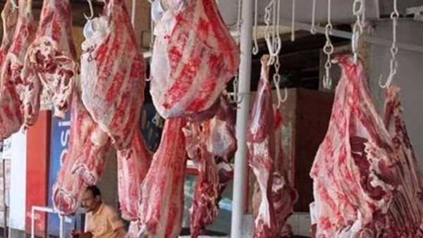 حقيقة ضبط لحوم كلاب في الجيزة.. الطب البيطري تكشف تفاصيل 10 آلاف كيلو لحوم فاسدة
