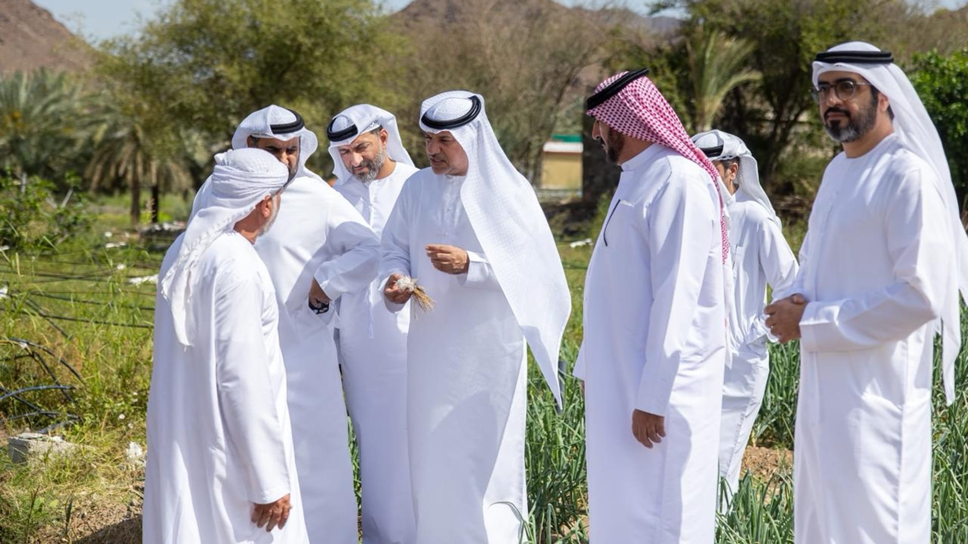 وزارة التغير المناخي تتفقد مزارع المواطنين عقب الحالة الجوية
