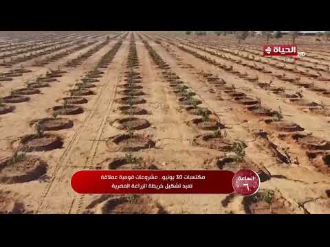 الساعة 6 - مكتسبات 30 يونيو.. مشروعات قومية عملاقة تعيد تشكيل خريطة الزراعة المصرية