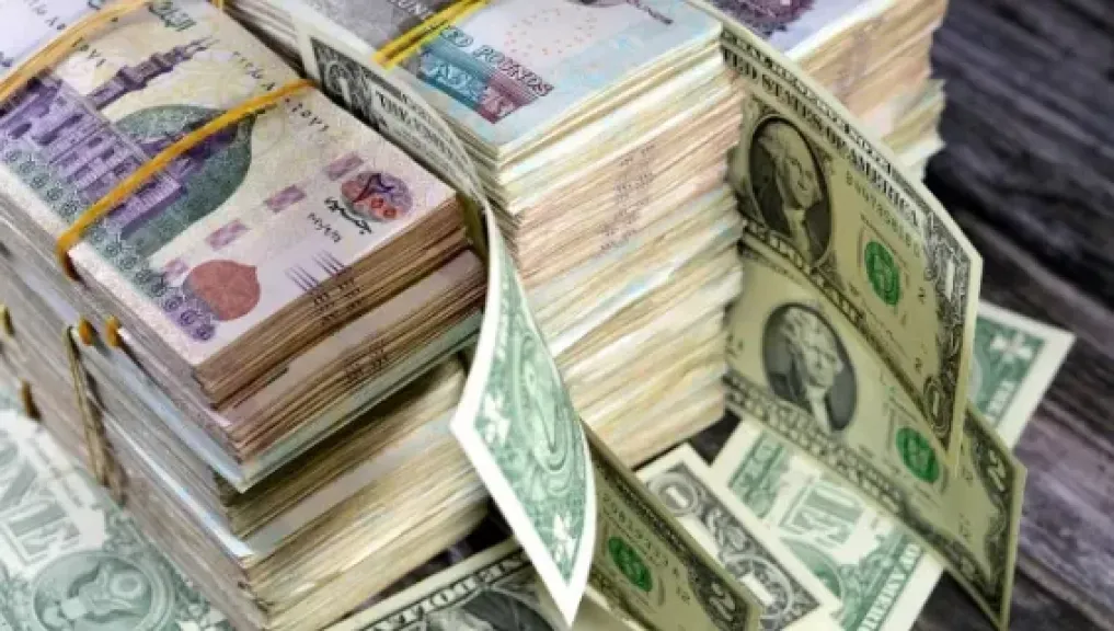 من الفكرة إلى السوق .. كيف تقود البنوك الشباب نحو نجاح المشروعات الصغيرة؟
