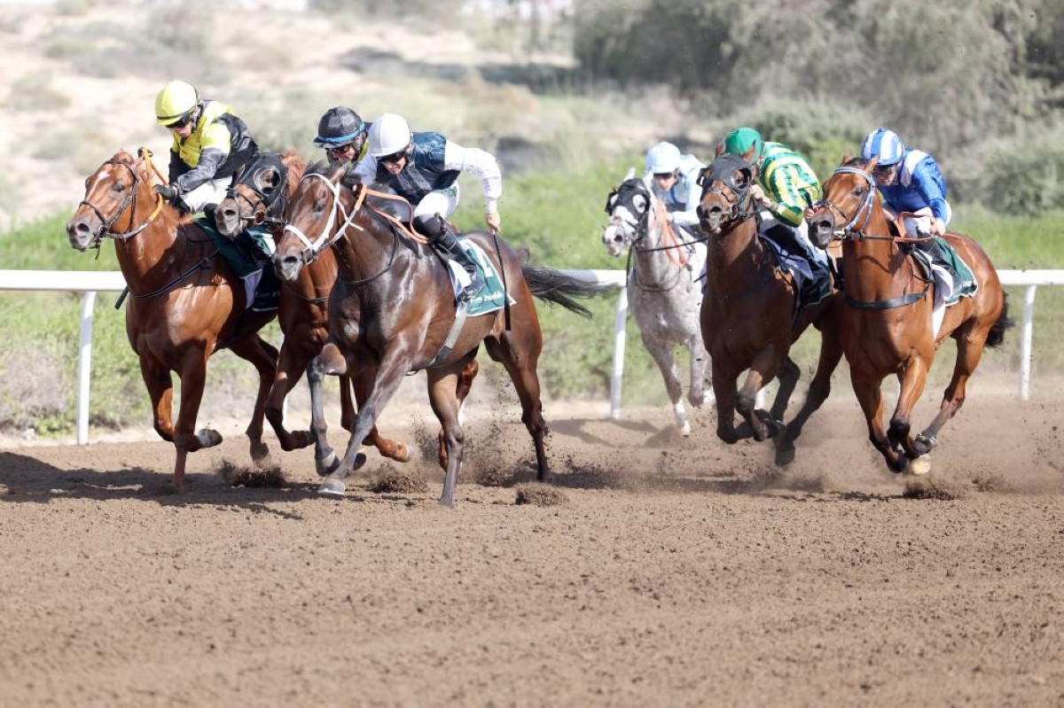 «جبل علي مايل» يشعل التحدي في المضمار الأصفر