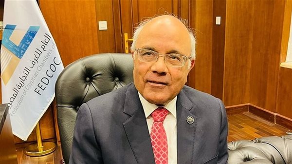 محمد عطية الفيومي يطالب الحكومة بإعداد خطة واضحة ومستهدفات قابلة للتطبيق