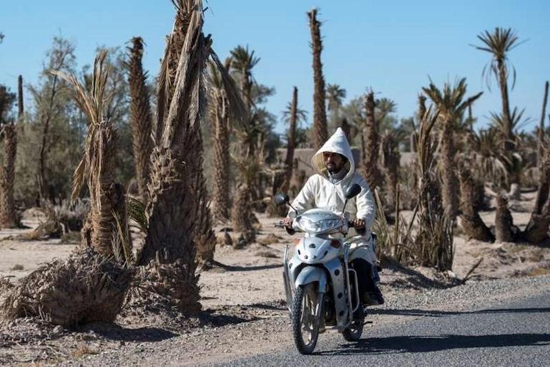 طقس ملتهب بالمغرب .. الحرارة تقترب من 50 درجة في بعض المناطق