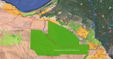كيف ينهى مشروع الدلتا الجديدة فجوة المحاصيل الاستراتيجية؟