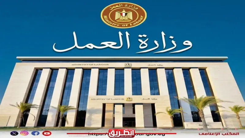 وزارة العمل تعلن عن 85 فرصة عمل بالإسماعيلية من بينها وظائف لذوي الهمم