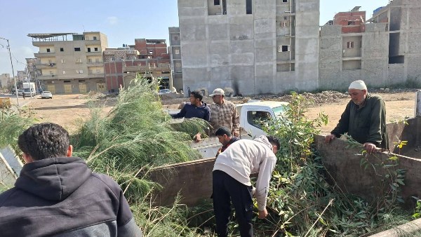 دمياط تتسلم 5000 شجرة ضمن مبادرة 100 مليون شجرة