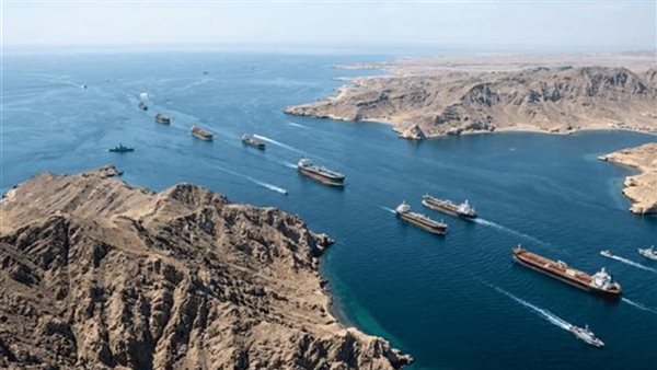 مضيق هرمز لن يعود كما كان.. علي نيكزاد يكشف تأثيرًا يهدد 25% من الاقتصاد العالمي