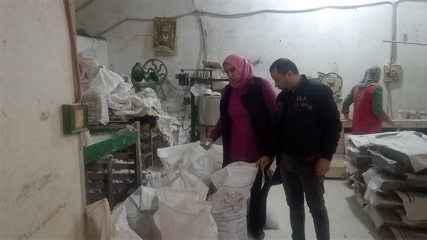 محافظ الدقهلية: ضبط 10 أطنان منتجات متنوعة بدون فواتير وتحرير 366 مخالفة تموينية