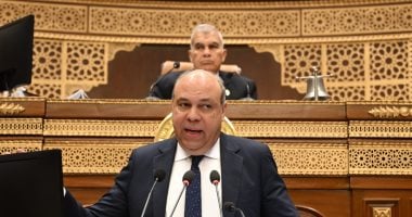 الفريق سامح حفنى لـ"الشيوخ": الساحل الشمالى "واخد حقه" فى الطيران المدنى