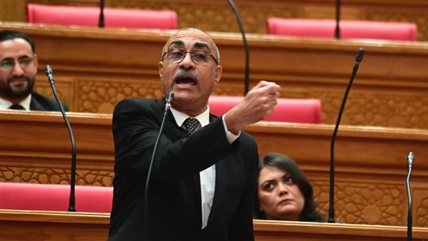 النائب إيهاب منصور: لدينا كارثة في البيانات الحكومية والقرارات تُبنى على "أرقام هلامية".. والأداء داخل مجلس النواب الحالي أقل من السابق (حوار)