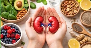 لمرضى الكلى المزمن.. ما كمية وأنواع الفاكهة المناسبة دون ضرر