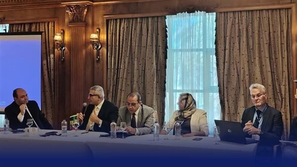 الأعلى للجامعات يشارك في ورش عمل لرسم مستقبل "المؤهلات المصغرة" وهندسة الجودة