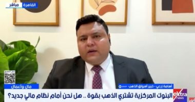 خبير أسواق ذهب: البنوك المركزية تعزز احتياطياتها لمواجهة تسييس الدولار