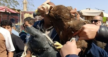 حملة موسعة على سوق السيدة عائشة ومصادرة حيوانات حية ومحنطة