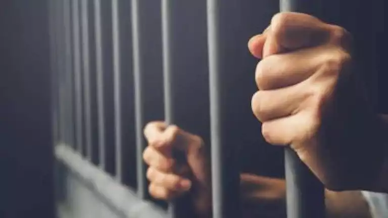 "يبيع حشيش في المرج".. حكم قضائي ضد متهم بترويج المواد المخدرة