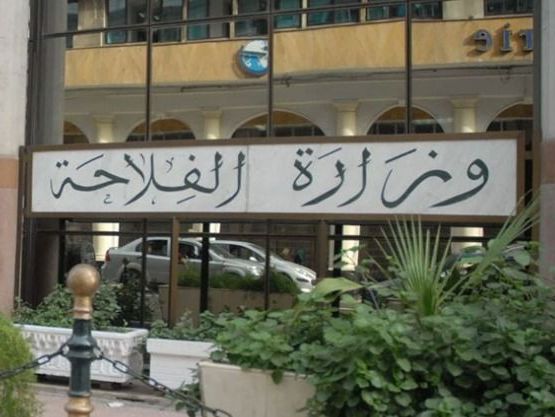 مشروع "بلدنا" لإنتاج الحليب المجفف بالجزائر: توقيع الحزمة الثانية من عقود الإنجاز بقيمة تفوق 635 مليون دولار