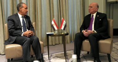 وزير الخارجية يجدد دعم مصر لوحدة العراق ورفض التدخلات الخارجية في شؤونه