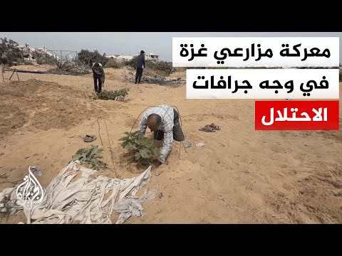 جرافات الاحتلال تجرف أراضي العنب وتحولها لمساحات قاحلة في قطاع غزة
