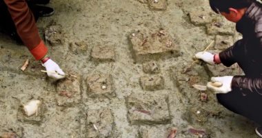 أدوات جزارة عمرها 146 ألف عام فى الصين.. تكشف عن براعة العصر الجليدى