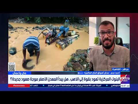 لماذا تتسابق البنوك المركزية على شراء الذهب رغم الضغوط؟.. أحمد نجم محلل أسواق المال العالمية يُجيب
