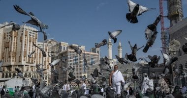طيور الجنة.. كواليس لقطات حجاج مصر التاريخية مع حمام الحمى بمكة