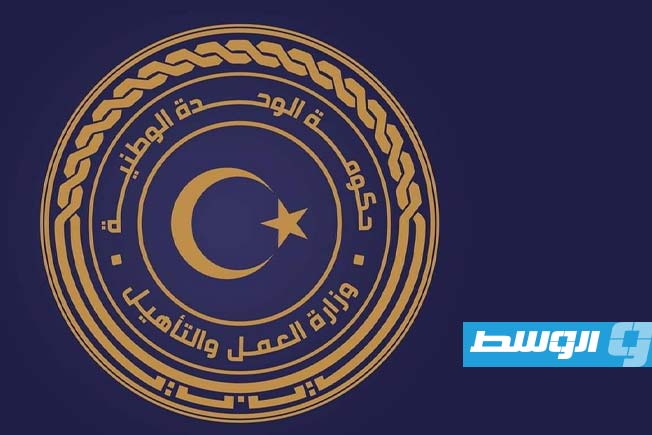 «العمل»: نختص بالعمالة الأجنبية القانونية.. وملف الهجرة مسؤولية الأمن