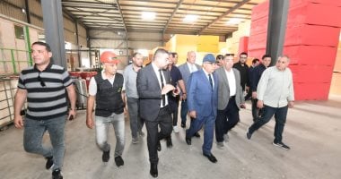 محافظ الدقهلية يتفقد منظومة الحماية المدنية بمصانع المنطقة الصناعية بجمصة