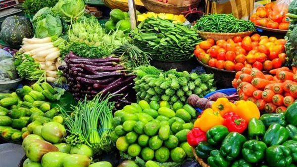 الموالح في المقدمة، ارتفاع الصادرات الزراعية المصرية إلى 3.7 مليون طن منذ بداية العام