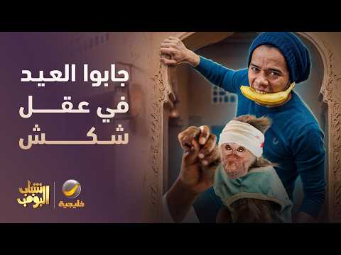 محاولات العيال عشان يعالجوا شكش من الغباء😂