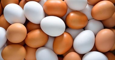 سعر طبق البيض بالقليوبية اليوم الإثنين 6