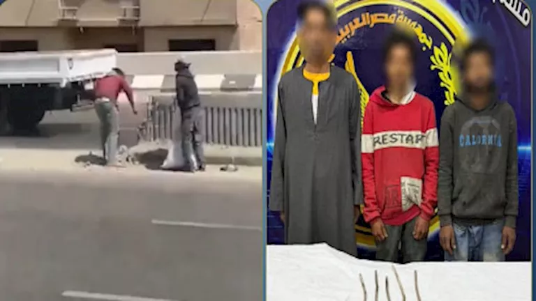 فيديو فضح الجريمة.. القبض على متهمين بسرقة حديد "الدائري" لبيعه خردة