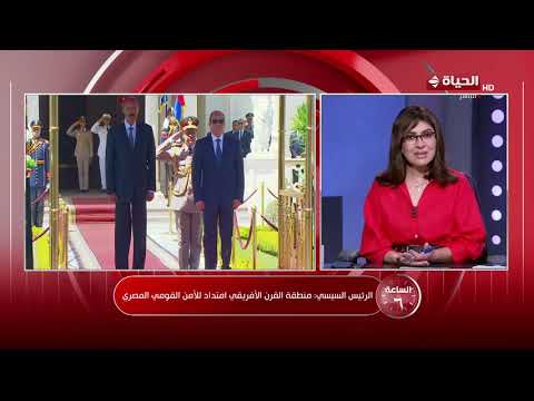 الرئيس السيسي ونطيره الإريتري يبحثان التعاون القائم بين البلدين وضمان أمن البحر الأحمر وحرية الملاحة