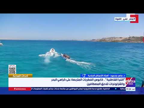 احذروا التان.. يسبب الاصابة بالسرطان وظهور تجاعيد مبكرة.. أستاذ أمراض جلدية يكشف مفاجأة