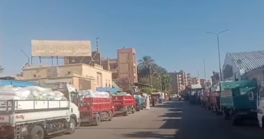 إقبال كبير على توريد القمح فى شون وصوامع الأقصر