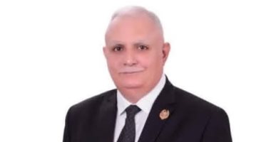 مقال وزير التموين فى اليوم السابع عن الدعم النقدى.. رئيس شعبة المواد الغذائية: يمنح المواطن حرية أكبر فى اختيار احتياجاته الغذائية.. وهشام الديجوى يؤكد: استمرار دور الدولة فى حماية الأمن الغذائى للموا