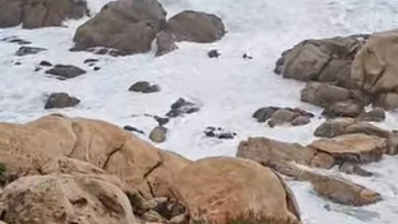 نفزة: العثور على جثة الشاب المفقود حمزة بشاطىء كاب نيقرو