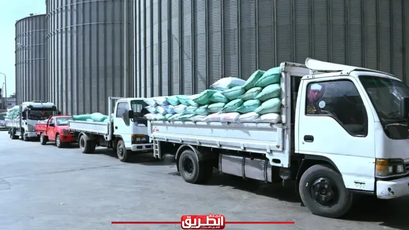 البحيرة تواصل حصاد الخير.. توريد أكثر من 26 ألف طن قمح