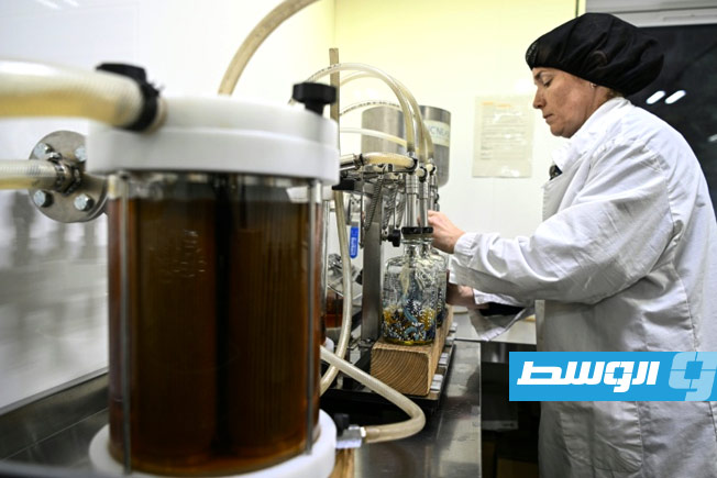 %14 تراجعًا لصادرات بريطانيا إلى الولايات المتحدة بسبب الرسوم الجمركية
