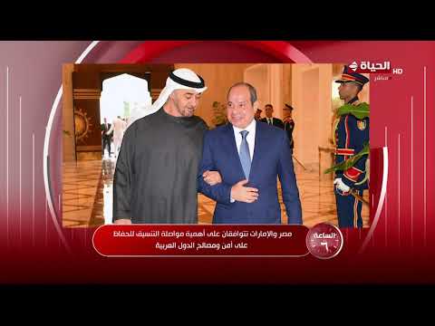 الساعة 6 - د/ أحمد الشحات: الدولة المصرية هي مرتكز للإستقرار الإقليمي بشكل عام