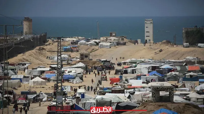 طارق فهمي: أجواء إيجابية تدفع مفاوضات غزة للأمام