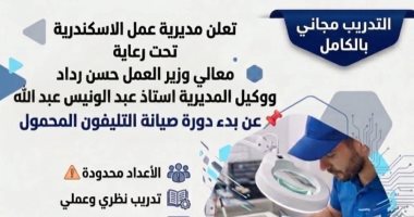 "العمل بالإسكندرية" تنظم دورة تدريبية حول صيانة التليفون المحمول