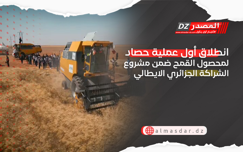 انطلاق أول عملية حصاد لمحصول القمح ضمن مشروع الشراكة الجزائري الايطالي