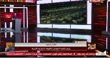 رئيس شعبة الدواجن لـ"الحياة اليوم": حققنا فائضا في الإنتاج بنسبة 30%