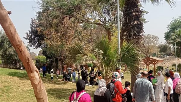 استعدادات مكثفة لشم النسيم، رفع درجة الطوارئ بالمحافظات وتشديد الرقابة على الأسواق